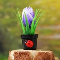 Miniatur-Tulpen-Bonsai in Lila mit kleinem rotem Marienkäfer für die Gartendekoration - Lila Blume Schwarzer Topf (Stil C)