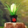 Miniatur gelbe Tulpen-Bonsai mit süßer Marienkäfer-Deko auf einem kleinen schwarzen Topf - Hellgelbe Blume Schwarzer Topf (Stil D)