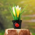 Mini bonsai di tulipano giallo con coccinella su vaso nero per micro paesaggio - Fiore Sfumato Giallo Bianco Vaso Nero (Stile F)