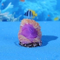 Adorno de anemona de coral de resina purpura y naranja para paisajismo de acuarios - Anémona Púrpura Naranja (Estilo A)