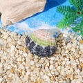 Colorful resin sea shell ornament with textured ridges for aquarium and landscape decor - No Holes / Black Green Pink Tricolor (Style B)