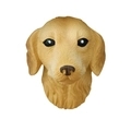 Imán 3D de resina Golden Retriever con textura de pelaje realista sobre fondo blanco - Cabeza de perro