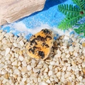 Bright yellow resin seashell ornament with black speckled texture for aquariums - No Holes / Yellow Black Spotted (Style C)