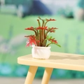 Miniatur-Puppenhauspflanze mit rot-grünen Blättern in einem weißen Spiral-Blumentopf - Rot-Grüner Gezackter Blattstil (Modell C)
