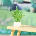 Miniatur-Puppenhauspflanze mit grünen Blättern in weißem Harztopf für Tischdekoration - Smaragdgrüner Breitblattstil (Modell D)