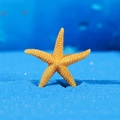 Vibrant orange resin starfish ornament with realistic texture for aquarium micro landscapes - Starfish Design (Style C)
