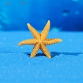 Yellow hexagonal resin starfish ornament with realistic texture for aquarium decor - Six-Pointed Starfish Shape (Style D)