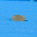 Amber translucent oval fish oil resin bead on blue sand for aquarium decor - Amber Oval Decorative Stone (Style K)