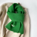 Dettaglio della sciarpa in lana verde con trama a coste ed etichetta del marchio ALAN WOOL - 155*20cm / Verde (ZW029)