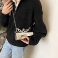 Silver metallic cylinder crossbody bag with mirror finish and pearl clasp on chain - Silver