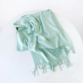 Mint green solid cashmere shawl with long tassel fringe on a white display stand - 215*70cm / Fruit Green (DW010-19)