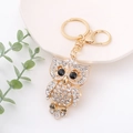 Gros plan du porte-clés hibou doré avec strass blancs et yeux noirs sur un plateau - Blanc