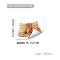 Detail showing dimensions of cute orange cat wall sticker measuring forty by thirty centimeters - Peeking Orange Cat Style (C20050)