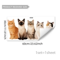 Detail view of 60x30cm sheet with five cartoon cats static cling window stickers - Five Different Cat Breeds (D20555)