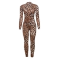 Slim fit leopard print mesh bodysuit with long sleeves and high neck for women - M / Leopard Print