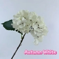 Detail of a white artificial hydrangea flower with realistic petals and green leaf - Autumn White