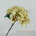Detailed macro view of artificial champagne hydrangea with realistic silk petals and green leaf - Champagne