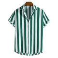 Detail of green and white vertical striped men's shirt with lapel and white buttons - 3XL / Green Stripes