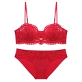 Dettaglio del ricamo in pizzo francese rosso sul set di biancheria intima a mezza coppa - S / Rosso