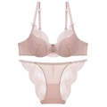 Franse kant lingerie set in oudroze met transparante beha en bijpassend slipje - 70A / Top En Broek / Lotusroze