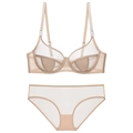 Nude sheer mesh lingerie set featuring underwire bra and matching panty with mesh detail - 70B / Nude