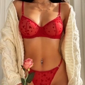 Completo intimo sexy rosso in rete con ricamo a cuore, reggiseno con ferretto e slip - S / Rosso