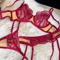 Dettaglio ravvicinato dei ricami in pizzo rosso su lingerie in rete trasparente con reggicalze - S / Rosso