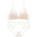 Set di lingerie in pizzo bianco panna con motivi floreali e dettagli in mesh velato - 70A / Bianco Sporco