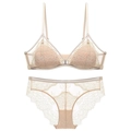 Lingerieset van kant met triangel bralette en slipje in elegante champagne gouden kleur - Huidskleur