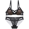 Sexy black mesh lingerie set with metal rings and push-up bra for women's stylish comfort - 85D / Black