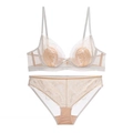 French lace embroidery lingerie set with mesh bra and matching panties in beige - 70A / White