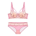 Ensemble de lingerie en dentelle rose avec broderie et détails en tulle transparent - 70B / Rose