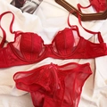 Lace embroidery lingerie set in vibrant red with sheer mesh and bow details - 70B / Red