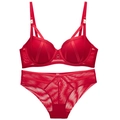 Detalle de sujetador balconette rojo y bragas de malla con detalles de anillos dorados - Rojo