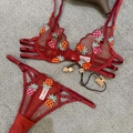Deep red French lace lingerie set with pineapple embroidery and sheer mesh straps - S / 2-Piece Set (Bra + Thong) / Red