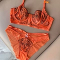 Sexy orangefarbenes Dessous-Set mit Stickerei-Spitze und transparentem Mesh-BH - Orange / 70B