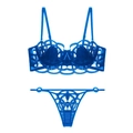 Detail of blue lace bra with sheer floral embroidery and adjustable straps - S / Blue And Thong