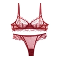 Lingerieset van kant in dieprood met bladpatronen en ademende mesh-stof voor dames - L / Rood