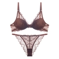 Chic coffee brown French lace lingerie set featuring thin V-neck bra and matching panties - Coffee