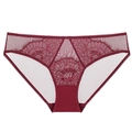 Detail of burgundy lace and sheer mesh fabric on women's low waist briefs - S / Burgundy