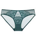 Sexy dark green lace panty with transparent floral embroidery and mesh detail for women - S / Green