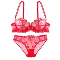 Elegantes rotes Set aus transparentem Netz mit Blumenstickerei und Spitze - 70B / Rot
