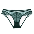 Bragas de encaje verde oscuro con malla transparente y lazo sobre fondo blanco liso - S / Verde