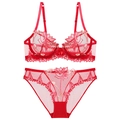 Red sheer mesh lingerie set with intricate floral embroidery and scalloped lace edges - 70B / Red