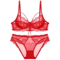 Red lace lingerie set with floral embroidery bra and matching sheer mesh panties - Red