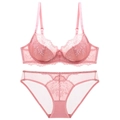 Elegant pink lace lingerie set with floral patterns and matching mesh panties on white back - 70A / Pink