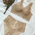 Lace lingerie set with high waist panty and V-neck bra in champagne beige color - 70B / Top And Bottom / Nude