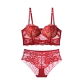 Ensemble de lingerie en dentelle rouge foncé avec broderie florale et tulle transparent - Rouge