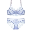 Detailed close-up of ultra-thin lavender lace bra and matching mesh panties set - 70C / Top And Bottom / Blue