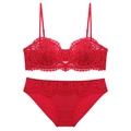 Sexy red lace lingerie set with floral embroidery and underwire push-up bra and panty - S / Top And Bottom / Red